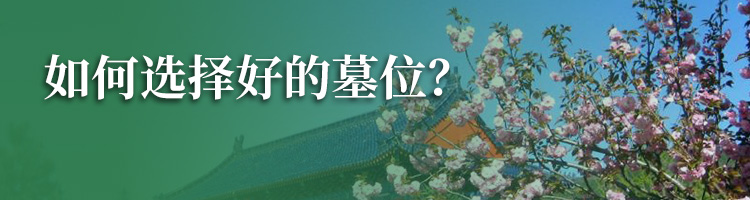 安贤园陵园